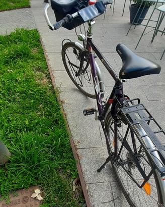 Bici vintage gran turismo GIANT EXPEDITION