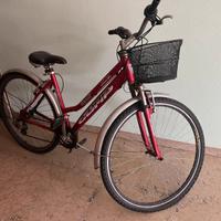 Bici da città
