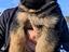 Immagine 5