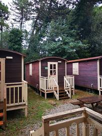 Casa Mobile Circus 650*250