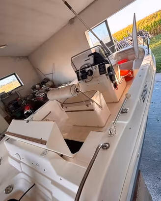 Barca open 5,5 selva 40 cv