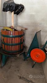 torchio per uva con pigiatrice 