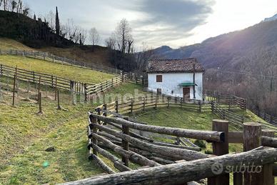 Rustico da ristrutturare con ampio terreno