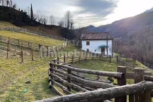 Rustico da ristrutturare con ampio terreno