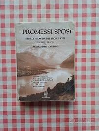 I promessi sposi_ 9788842673064