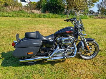 Harley Davidson XL 1200T