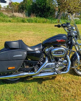 Harley Davidson XL 1200T