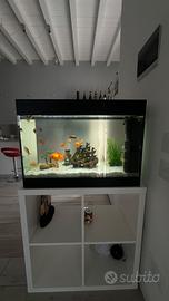 Acquario 80 litri completo con accessori