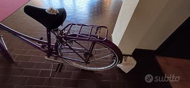 Bicicletta da passeggiata