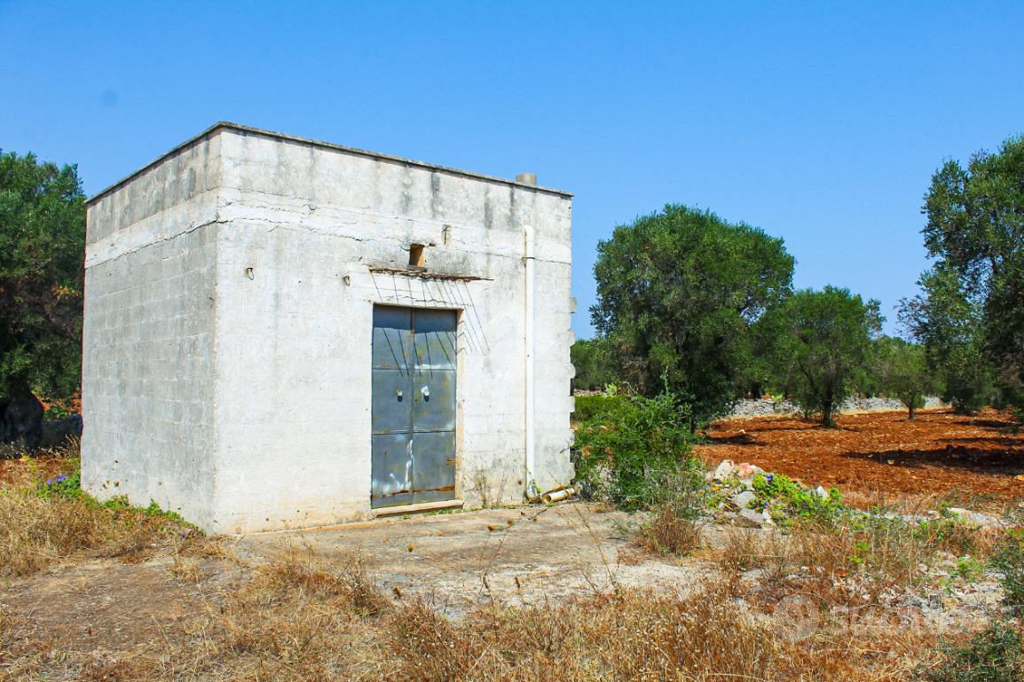 RUSTICO A CAROVIGNO - Vista 2
