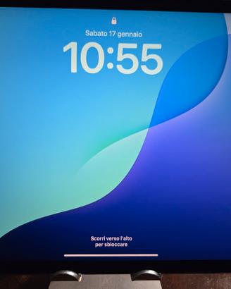 Ipad Pro 11 pollici (4a Generazione)