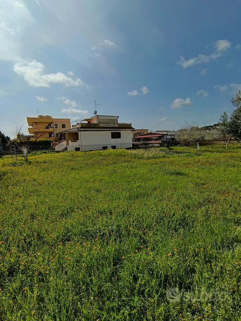 Trigoria terreno agricolo - Vista 2