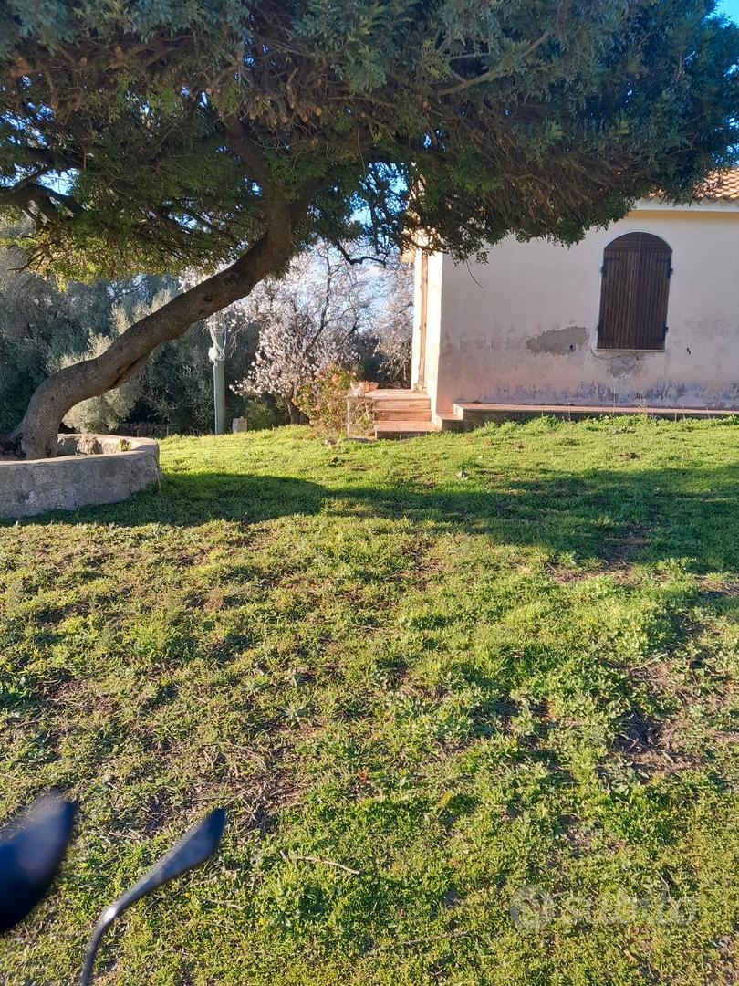 Stazzo 5 ettari zona Arzachena - Vista 5