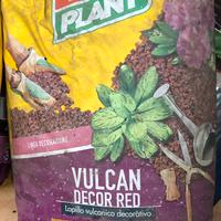 Vigir plant vulcon red