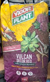 Vigir plant vulcon red