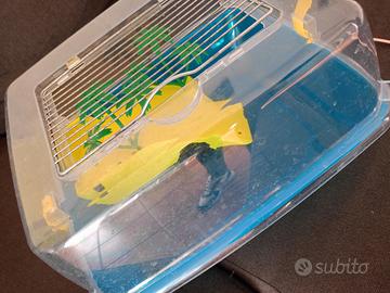 vaschetta per tartarughe più filtro 