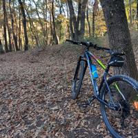 MTB rockrider xc50 29 taglia L