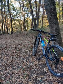 MTB rockrider xc50 29 taglia L