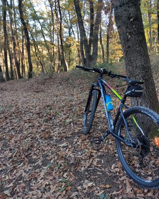 MTB rockrider xc50 29 taglia L