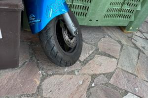 forcella  zip 2t ad aria