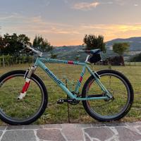Bicicletta BIANCHI