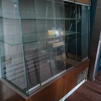 vetrina frigo 