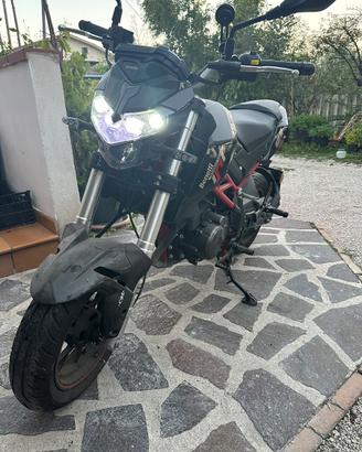 benelli tnt 125