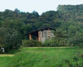 Rustico conTerreno agricolo ex vigneto e boschivo