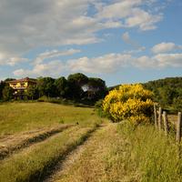 Agriturismo e azienda agricola a Orvieto