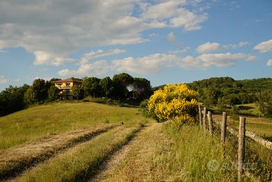 Agriturismo e azienda agricola a Orvieto