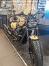 benelli-leoncino-bobber-400-e5-in-pronta-consegna