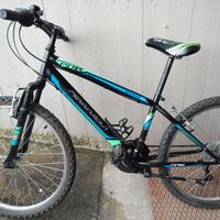 Mountain bike 24"