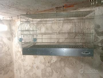 gabbia 