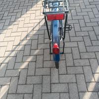 Bici da donna Bianchi