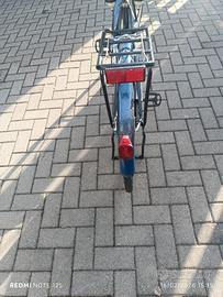 Bici da donna Bianchi