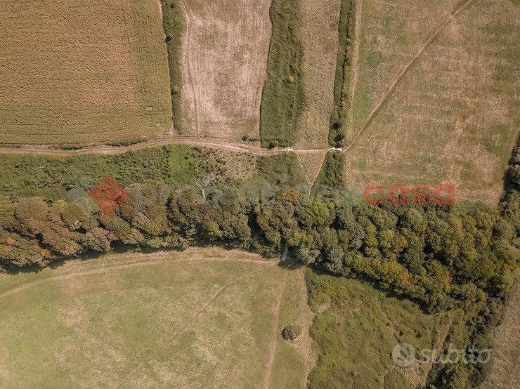 Terreno Agricolo Anagni [Cod. rif 3263465VCG] - Altro