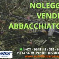 ABBACCHIATORI