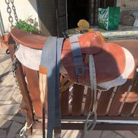 sella da corsa della pariani