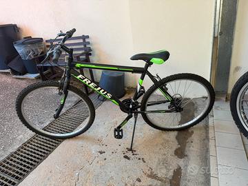 bicicletta