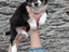 Immagine 23