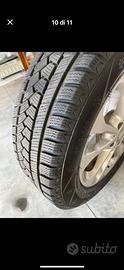 Gomme invernali Torque