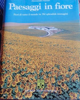 paesaggi in fiore