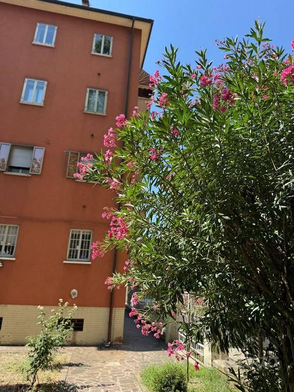 Appartamento – Casalecchio di Reno, Bologna - Vista 4