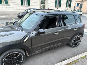 Mini countryman
