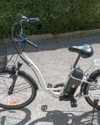 Bicicletta elettrica unisex