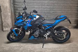 GSX-8S TEEM SUZUKI EDITION