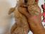 Immagine 5