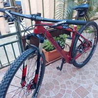 MTB  29 specialized