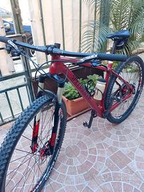 MTB  29 specialized