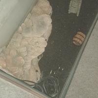 Acquario per tartarughe 